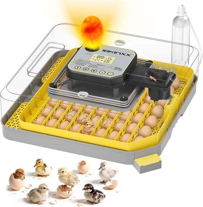 Incubator for Hatching Eggs-48 Egg Capacity, 2026 Newly Upraded Auto Egg Turner by IBKINXX