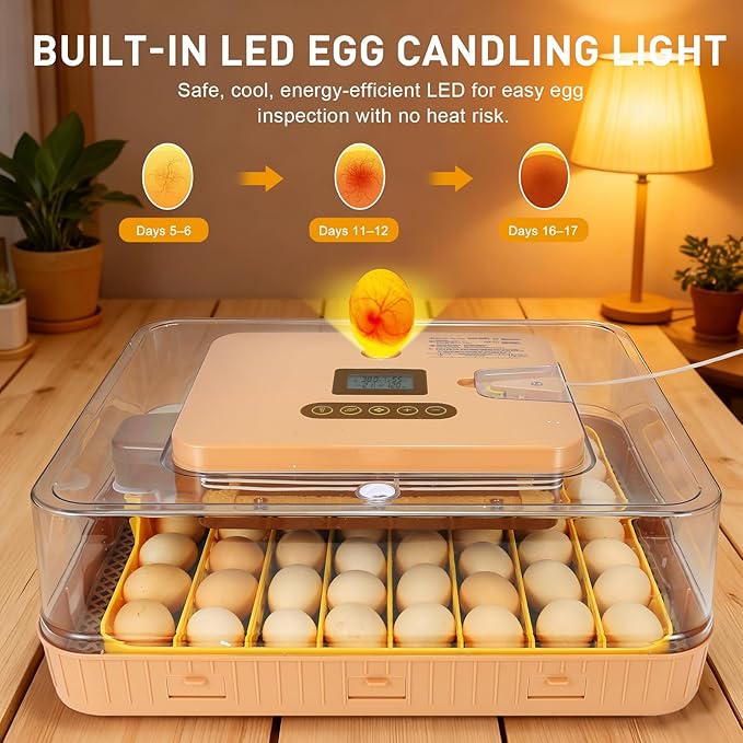 Master 56 Egg Incubator for Breeders, Fully Automated, Accurate Humidity & Temp - Image 3