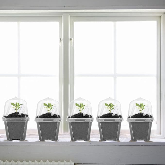EBaokuup 30PCS Clear Plant Nursery Pots - Image 4