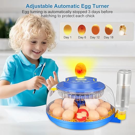 Automatic Egg Incubator with Auto-Turning & Humidity Control, 18 Eggs Capacity - Image 5