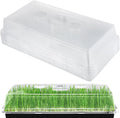 Apipi 10 Pcs 4'' High Durable Humidity Domes by Apipi