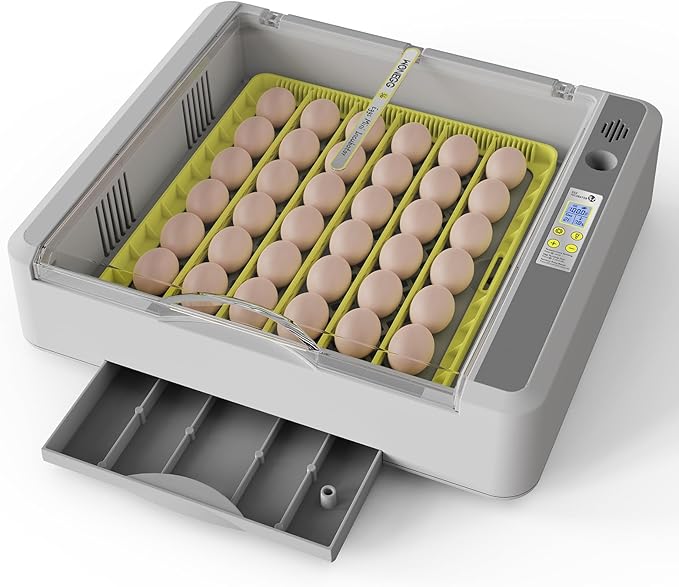 Egg Incubator for Hatching Chicks, 36 Eggs Automatic Turner by SENXINGYAN