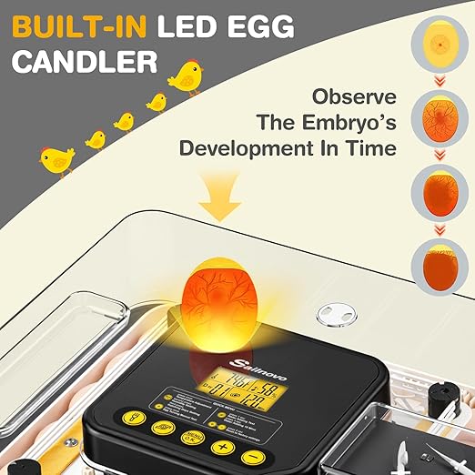 Sailnovo 48 Egg Incubator for Hatching Eggs - Image 6
