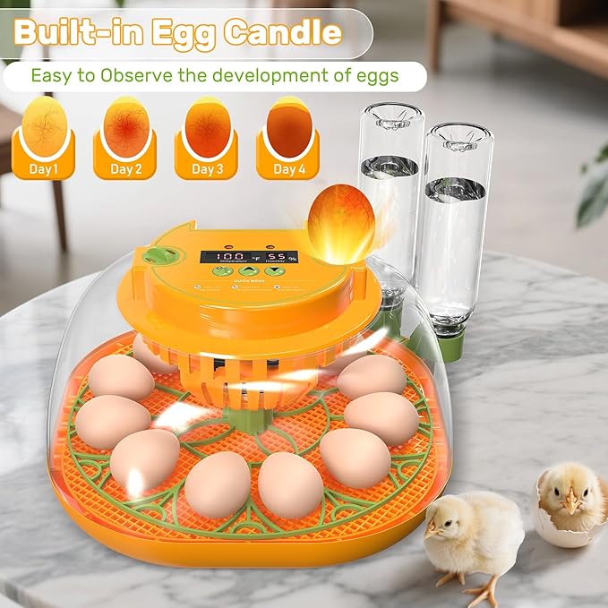 Incubators for Hatching Eggs, 12 Egg Incubator - Image 4