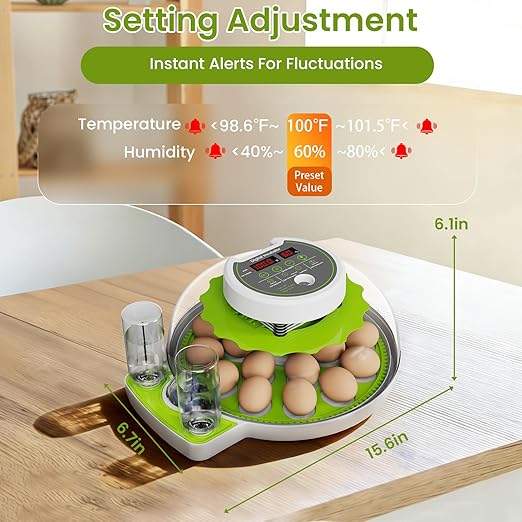 18-Egg Incubator incubators for Hatching Eggs - Image 7