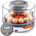 Chicken Egg Incubator 12-40 Eggs by ONEAMG