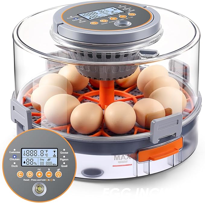 Chicken Egg Incubator 12-40 Eggs by ONEAMG