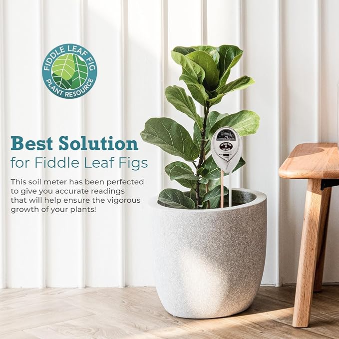 Houseplant Resource Center Fiddle Leaf Fig 3-in-1 Soil Moisture Meter - Image 5