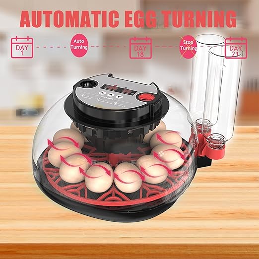 Incubators for Hatching Eggs, 12 Egg Incubator - Image 5