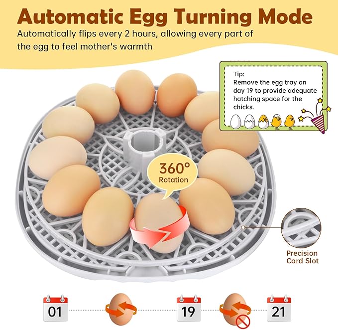 Egg Incubator for Hatching Chicks, Automatic Egg Turner Holds 12 Eggs, Smart - Image 3