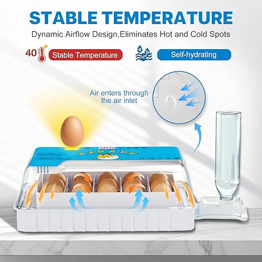 Incubators for Hatching Eggs 15-35 Eggs Incubator - Image 4