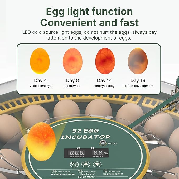 Automatic Egg Incubator for 52 Eggs - Image 3