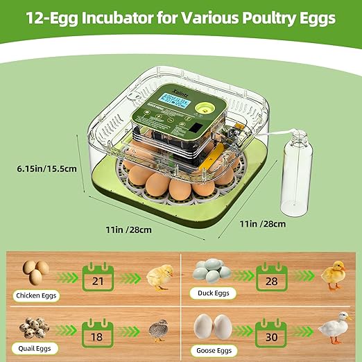 Automatic 12 Egg Incubator - Image 7