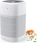 Afloia Air Purifier and Dehumidifier in 1, Air Purifier by Afloia