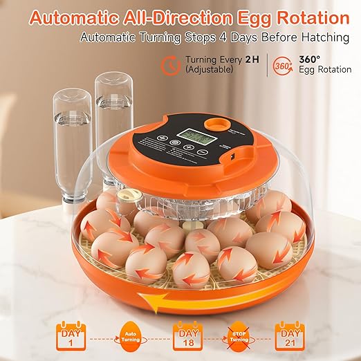 18 Egg Incubator for Chicken Eggs, Automatic Egg Turning and Humidity Control - Image 5