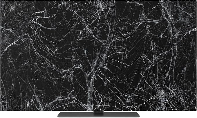 Halloween Abstract SpiderWeb Indoor TV Cover, Elastic TV Screen Protector Back by Unknown