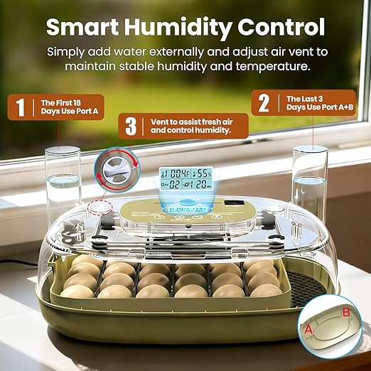 Incubators for Hatching Eggs, 24 Eggs Capacity - Image 3
