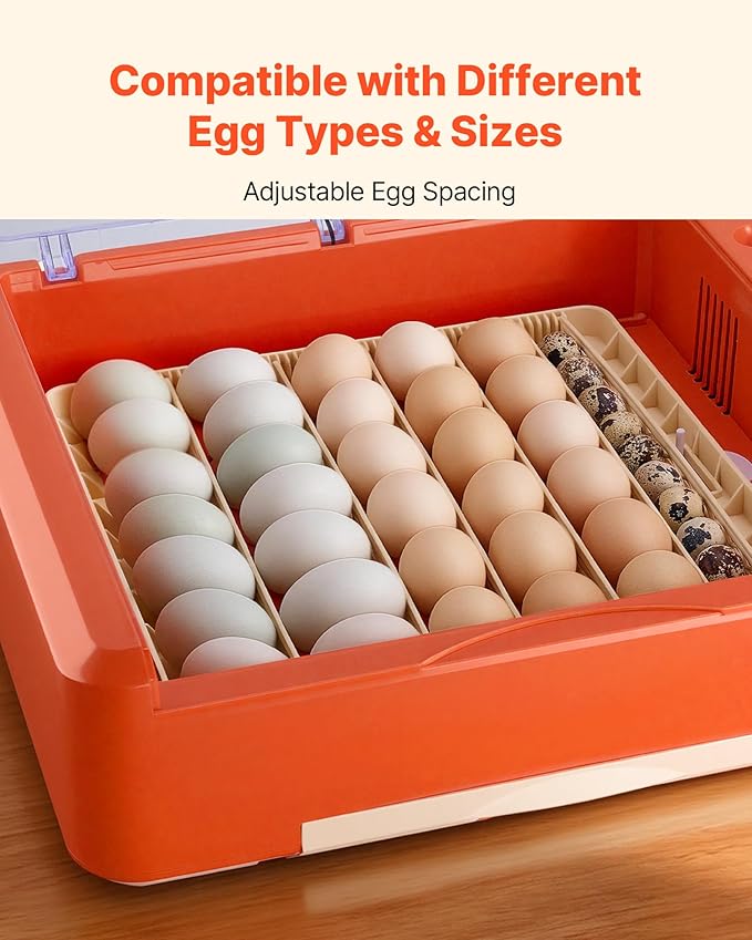 VEVOR 36 Egg Incubator, Automatic Egg Turner - Image 6