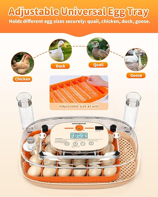 Egg Incubator for 24 Chicken Eggs - Image 7