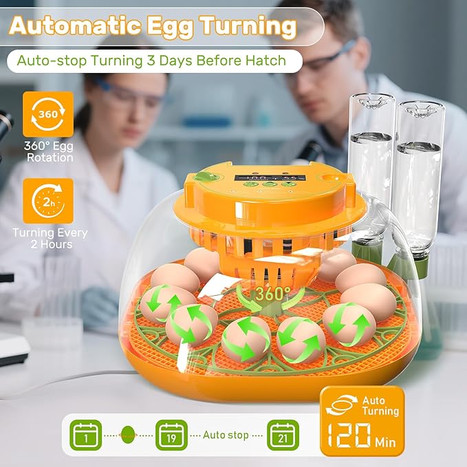 Incubators for Hatching Eggs, 12 Egg Incubator - Image 5