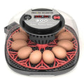 12-24 Egg Incubator with Humidity Display, Egg Candler, Automatic Egg Turner by Meuiosd