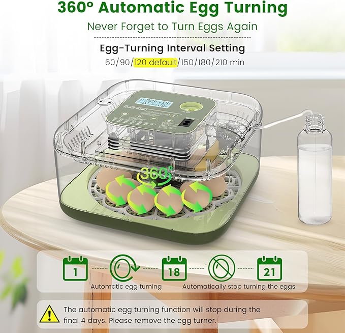 12 Egg Incubator with Automatic Turning, Auto Water Refill & Temp/Humidity - Image 2