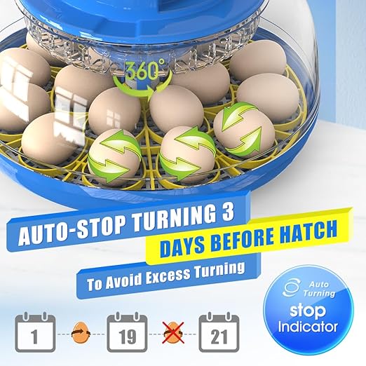 incubators for hatching eggs，18 Egg Incubator, egg incubator - Image 3