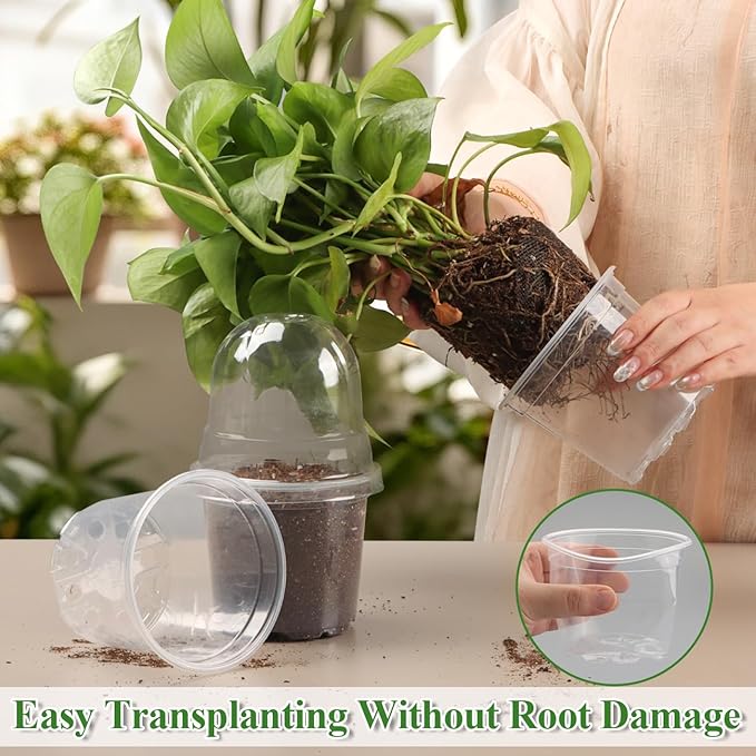 60 Pack Clear Nursery Pots - Image 4