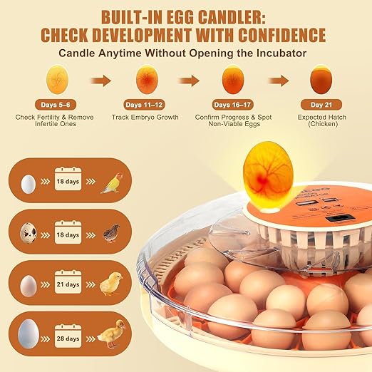 2nd Gen 30 Egg Incubator, Wide-Range Humidity - Image 3