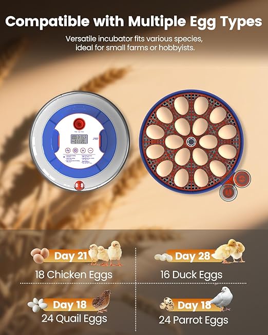 Incubators for Hatching Eggs, 18 Eggs Incubators - Image 7