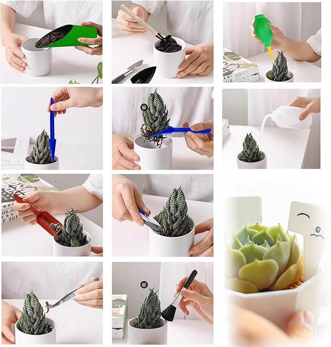 GXXMEI 20PCS/Set Succulent Tools Set, Mini Garden Tool Set, Transplanting Tools - Image 4