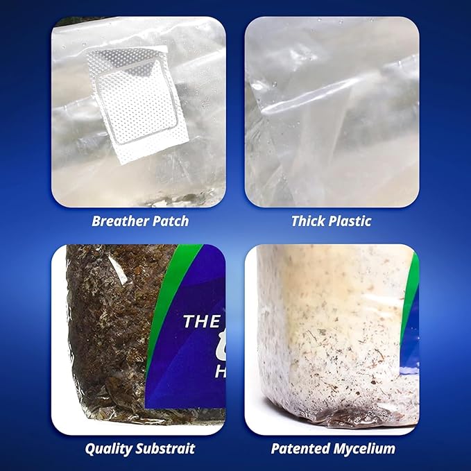 ExHale CO2 Original Bag - Image 4