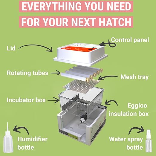 Incubators for Hatching Eggs - Image 5