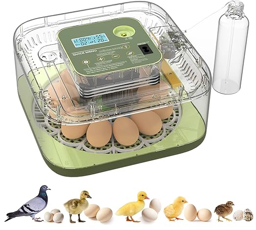 Incubators for Hatching Eggs 12 Egg Digital Egg Incubator Precision Auto Temp by Unknown