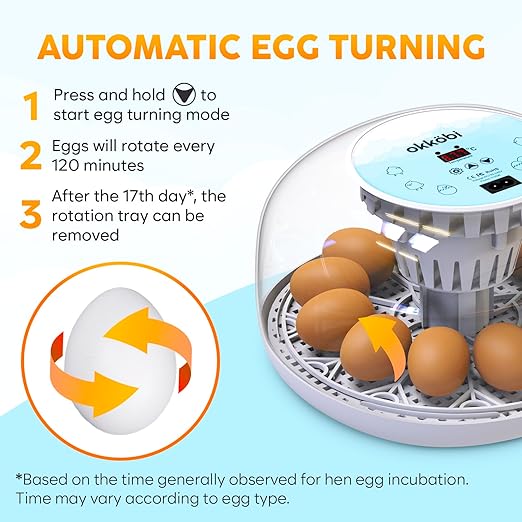 M12 Incubators for Hatching Eggs - Image 5