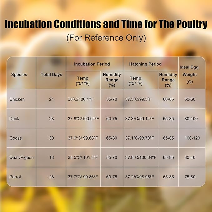 12 Egg Incubator with Temperature Control, Humidity Display, Automatic Egg - Image 7