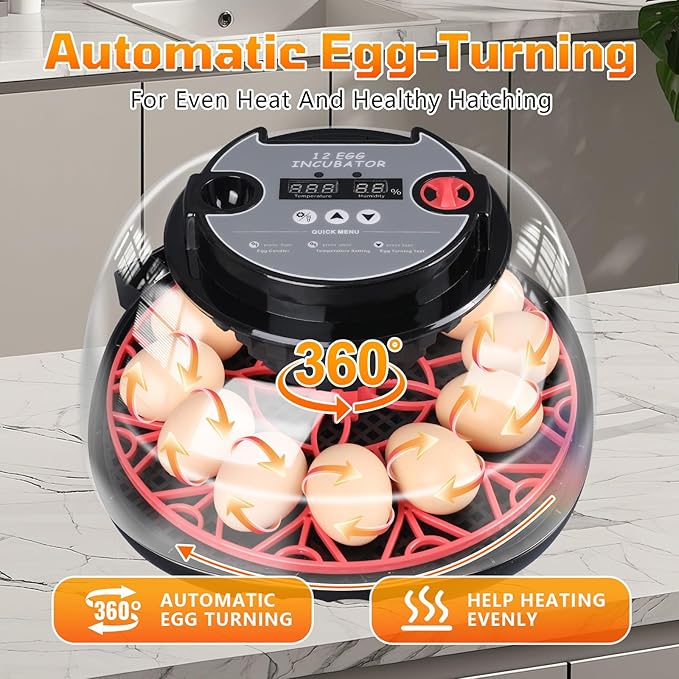 12-Egg Incubator, Automatic Egg Turning Function, Humidity Control, External - Image 4