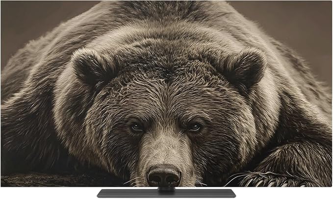 Rustic Brown Grizzly Bear Indoor TV Cover, Elastic TV Screen Protector Abstract - Image 2