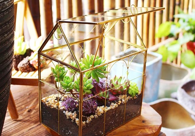 Glass Geometric Plant Terrarium, Succulent & Air Planter - Image 5