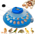 26-Egg Incubator with Automatic Egg Turning and Humidity Control | with 360° by Ywingda