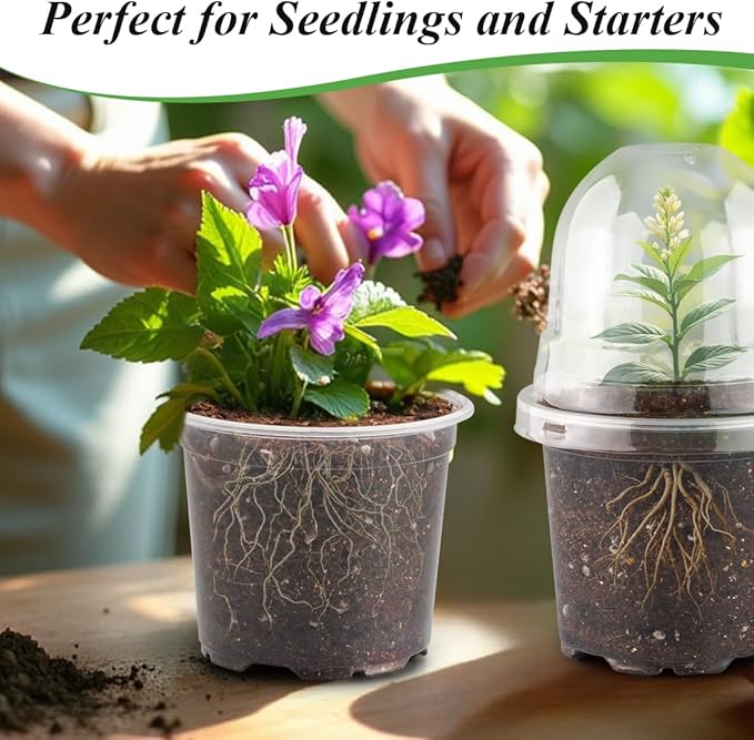 Transparent Nursery Pots 4Inch - Image 7
