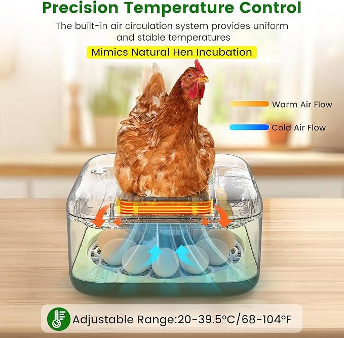 12 Egg Incubator with Automatic Turning, Auto Water Refill & Temp/Humidity - Image 4