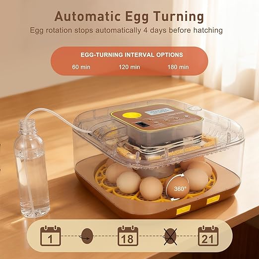 4th Gen - 12 Egg Fully Automatic Incubator, 2026 Upgraded Design, Intelligent - Image 6