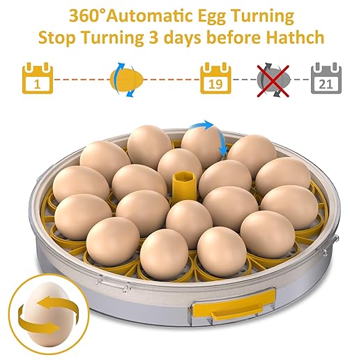 18 Egg Incubator with Automatic Egg Turning and Humidity Control, Intelligent - Image 3