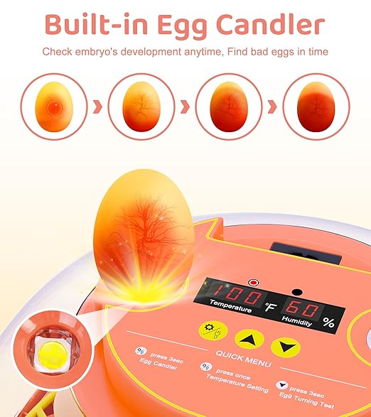 12 Egg Incubator for Hatching Eggs, Smart Temperature and Humidity Control - Image 5
