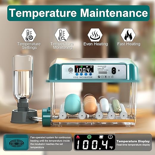 Incubators for Hatching 16 Eggs, Egg Incubator - Image 2