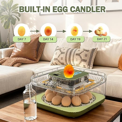 XOTTI Incubator for Hatching Egg, 12 Egg Incubators - Image 5