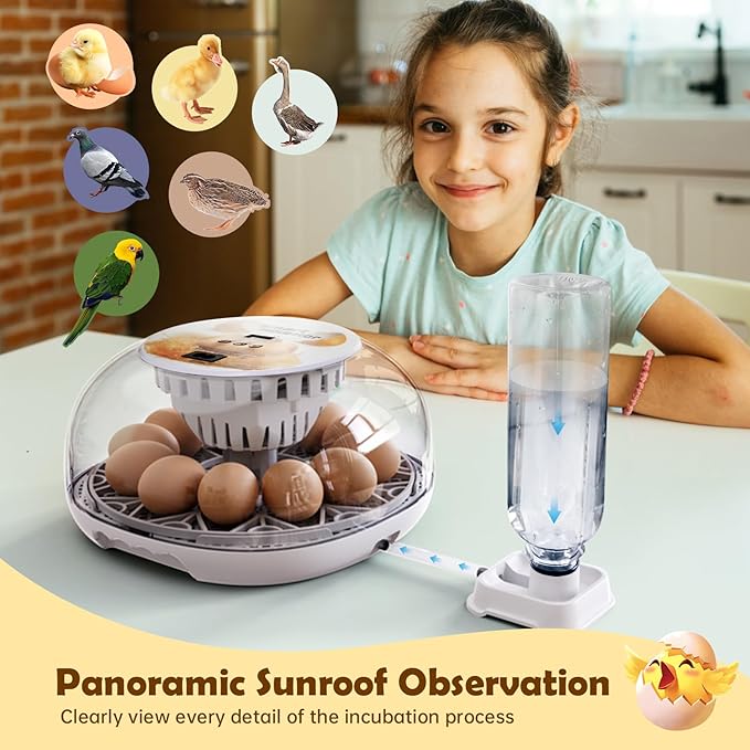 Egg Incubator for Hatching Chicks, Automatic Egg Turner Holds 12 Eggs, Smart - Image 7