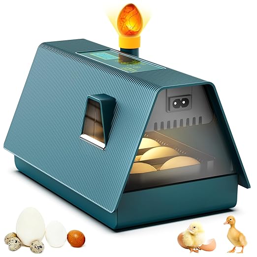 Incubator for Hatching Chicks, 10 Eggs Incubators by APODESS