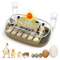 24 Egg Incubator for Hatching Eggs by Unknown